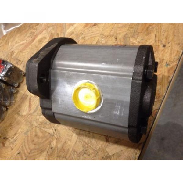 HYDRAULIC GEAR MOTOR ARGOHYTOS ARGO HYTOS GP1Q82RK7FOB 1709000 Pump #6 image