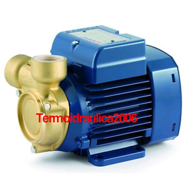 Peripheral Water PQ 65Bs 0,7Hp Brass body impeller 400V Pedrollo Z1 Pump #1 image