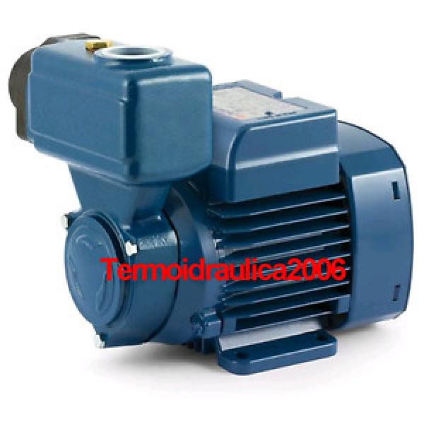 Electric Peripheral Self priming Water PKS m65 0,7Hp Brass 240V Pedrollo Z1 Pump #1 image