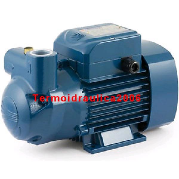 Self Priming liquid ring Electric Water CKR 90E 1Hp 400V Pedrollo Z1 Pump #1 image