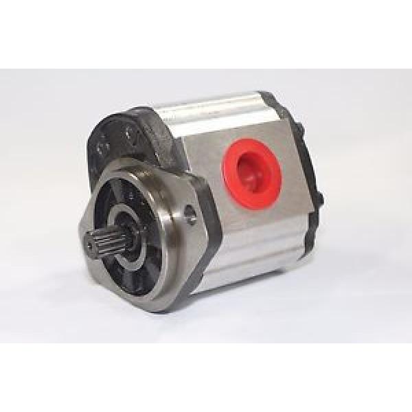 Hydraulic Gear 1PN082CG1S13C3BNNS 8.2 cm³/rev 250 Bar Pressure Rating Pump #1 image