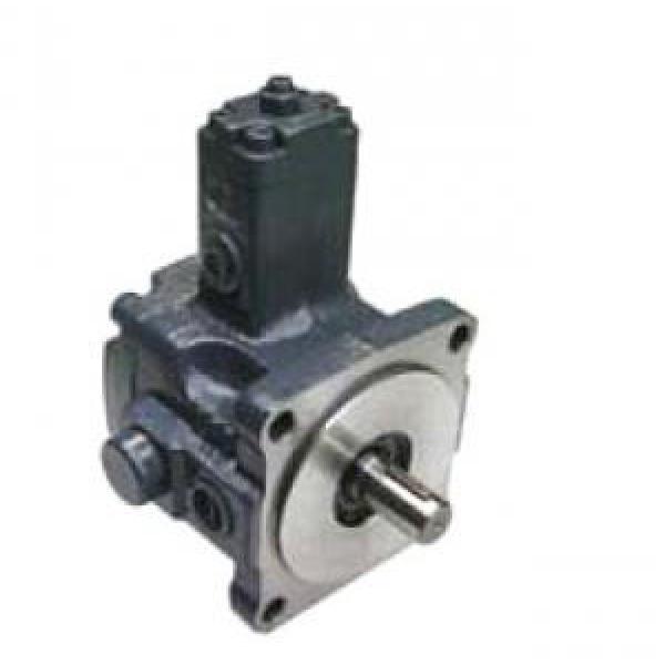 VPE-F24-A-10 Vane Pump #1 image