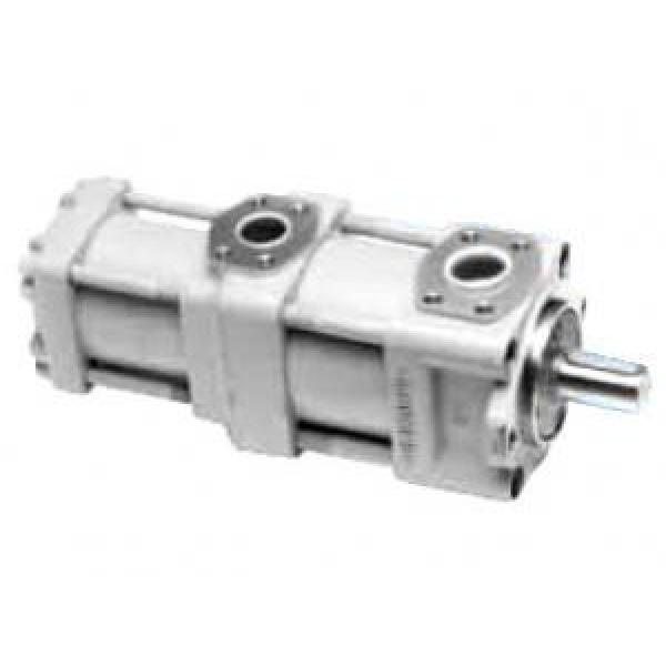 QT4223-31.5-8F QT Series Double Gear Pump #1 image