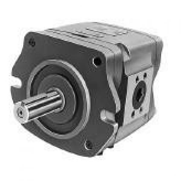 NACHI IPH-6A-125 IPH SERIES IP PUMP #1 image