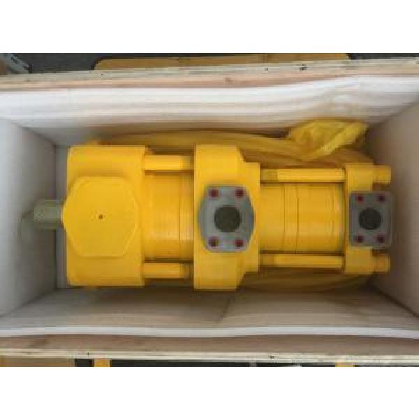 Sumitomo QT4232-20-12.5F Double Gear Pump #1 image