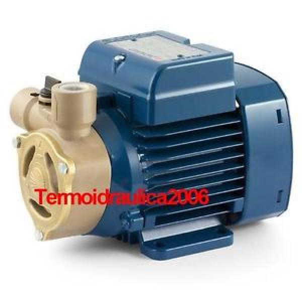 Electric Water with peripheral impeller PQAm 60 0,5Hp 240V Pedrollo Z1 Pump #1 image