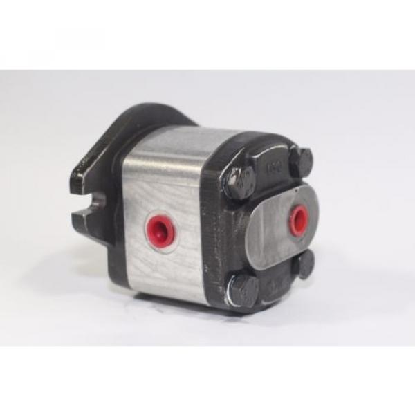 Hydraulic Gear 1PN082AG2P13A3ANPS 8.2 cm³/rev Rear Port 250 Bar Pressure Pump #1 image