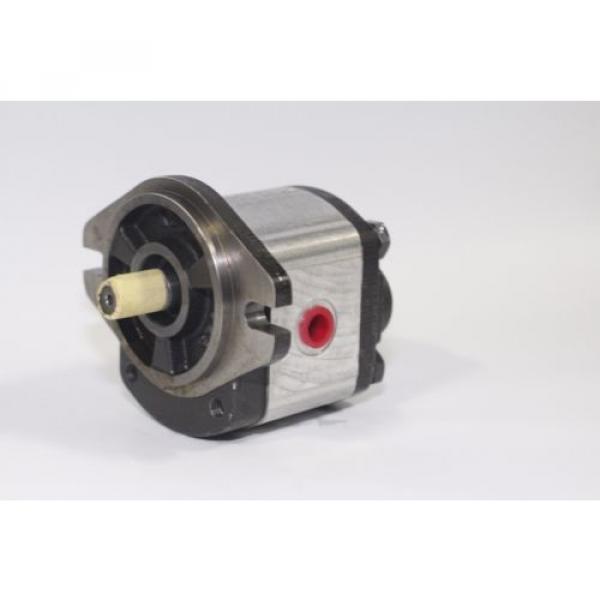 Hydraulic Gear 1PN082AG2P13A3ANPS 8.2 cm³/rev Rear Port 250 Bar Pressure Pump #2 image