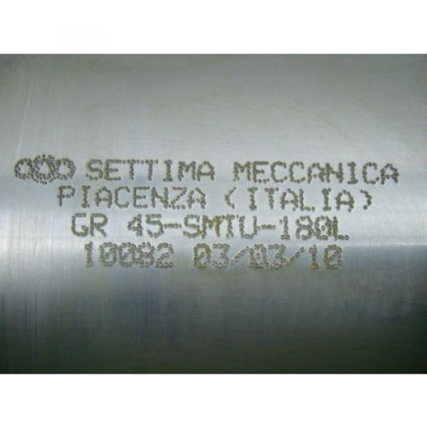 Settima Meccanica Elevator Hydraulic Screw GR 45 SMTU 180L 10082 Pump #2 image