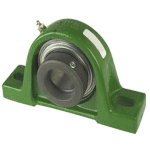 INA RASE75 Pillow Block Bearings #1 image