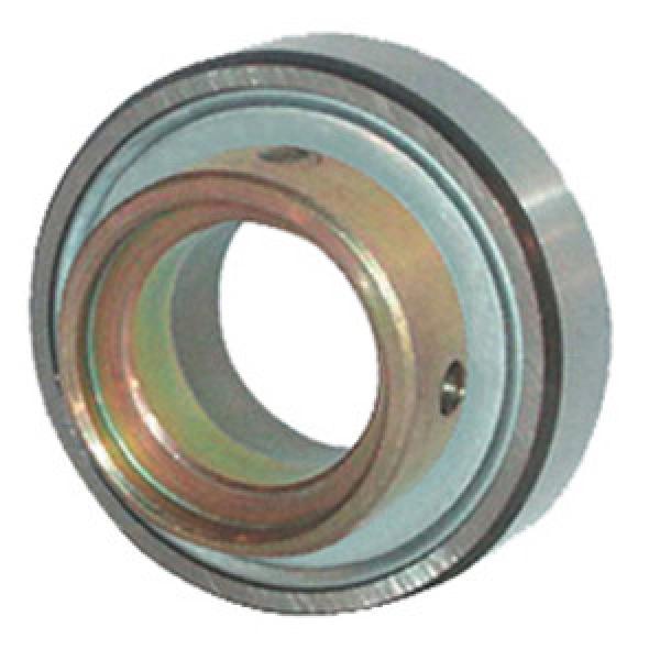 INA RAE20-NPP-FA106 Insert Bearings Cylindrical OD #1 image