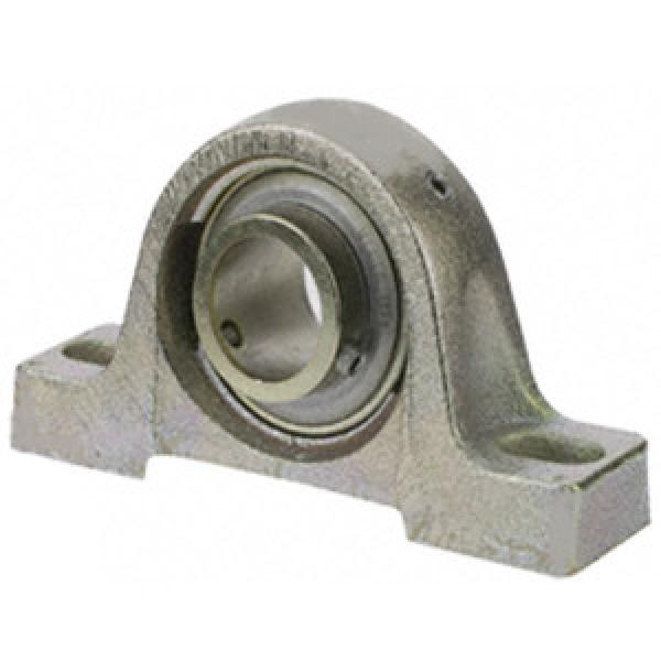 SKF ZPB102ZMG Pillow Block Bearings #1 image