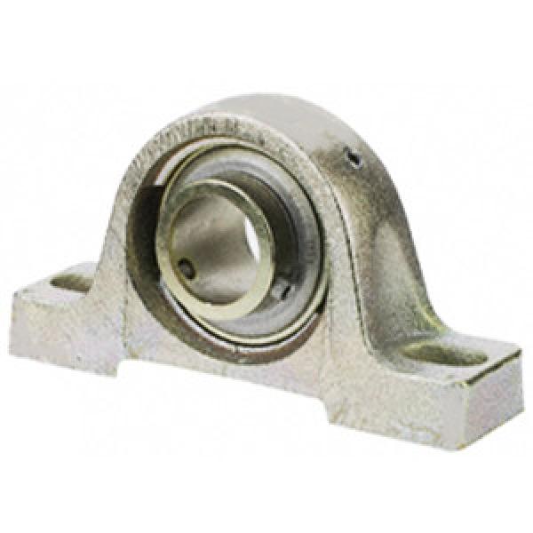 SKF SPB100SS Pillow Block Bearings #1 image