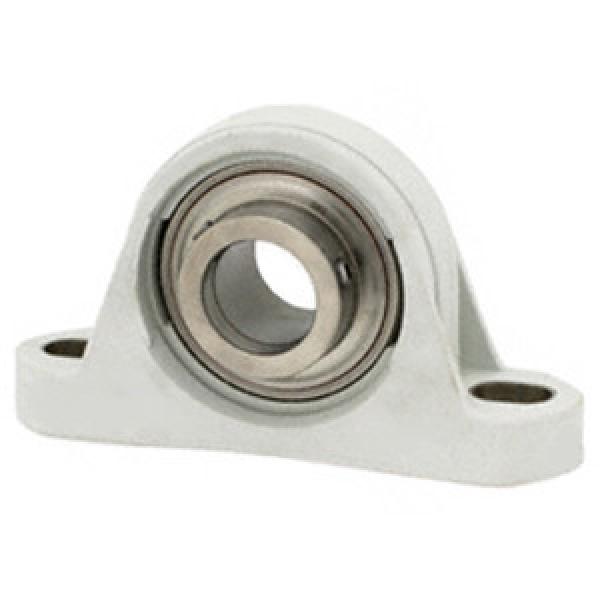 SKF CPB012SS Pillow Block Bearings #1 image