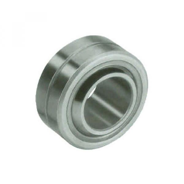 Heim Bearing RBC Bearings LS19 #1 image