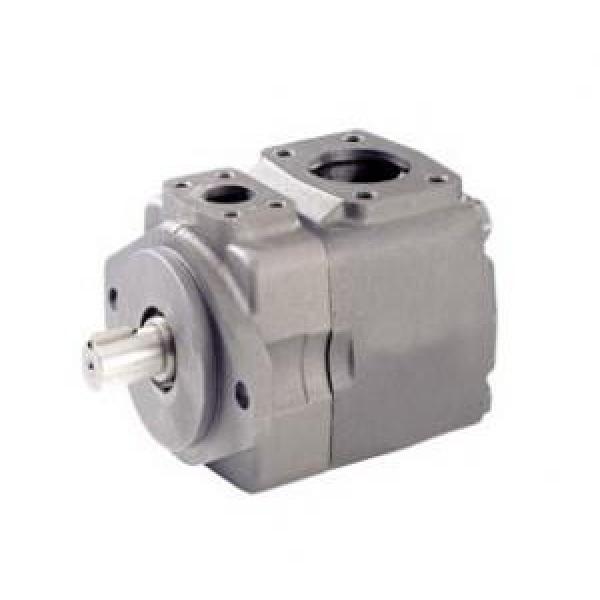 Rexroth Vane Pumps PVV1-1X/027LA15LMB #1 image