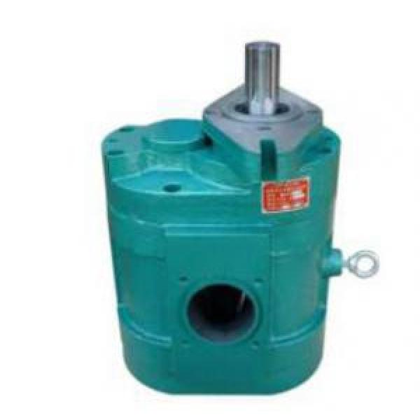 DCB-B700 Low Noise Large Flow Gear Pump #1 image