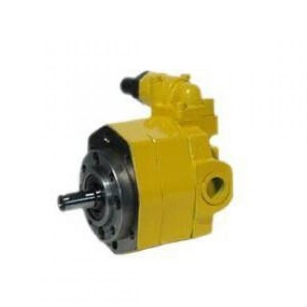 BB-B*Y Series Cycloid Gear Pump BB-B25Y #1 image