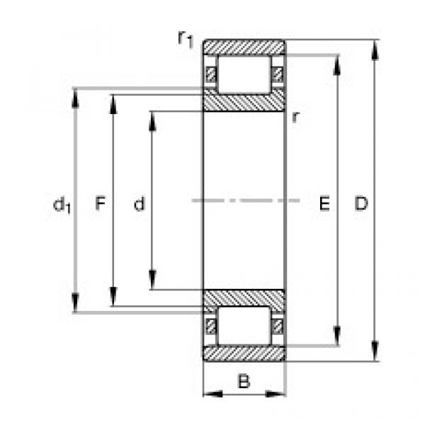 Cylindrical roller bearings - N203-E-XL-TVP2 #1 image