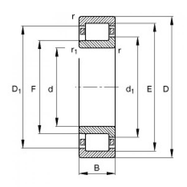 Cylindrical roller bearings - NJ204-E-XL-TVP2 #1 image