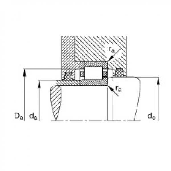 Cylindrical roller bearings - NJ203-E-XL-TVP2 + HJ203-E #3 image