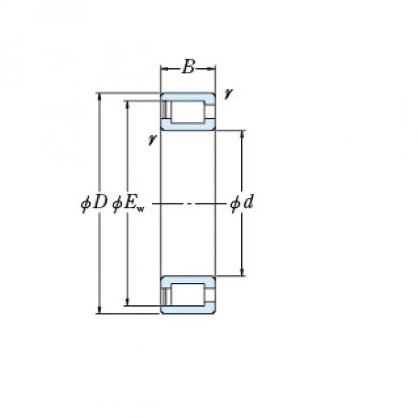 Bearing NCF18/800V #1 image