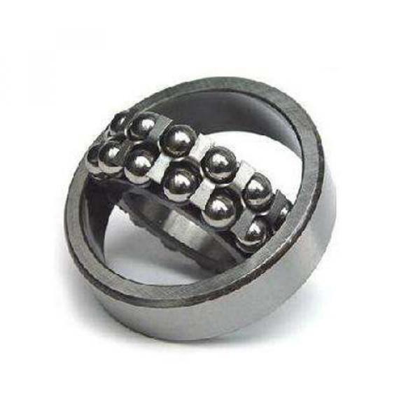 LMES10 Self-aligning ball bearings Poland Self Aligning Ball Bushings 10 mm Linear Motion #1 image