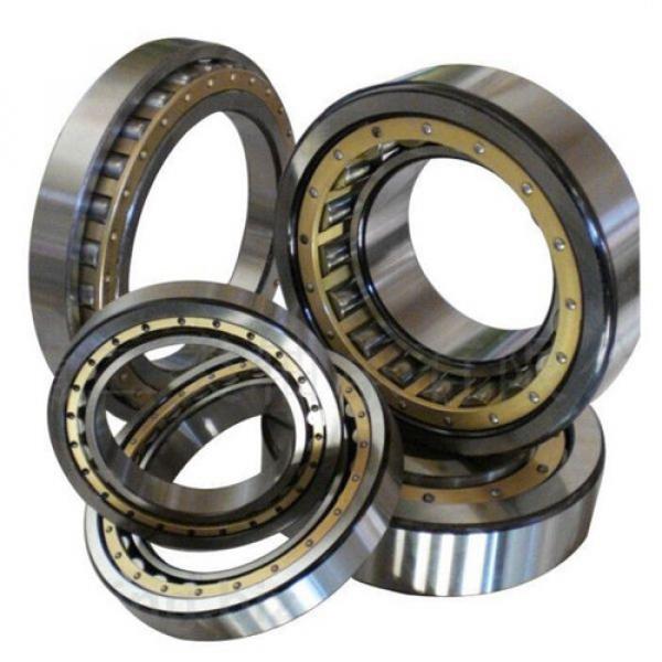 NU318EG Nachi Cylindrical Roller Bearing 90x190x43 Nylon Cage Japan 10463 #1 image