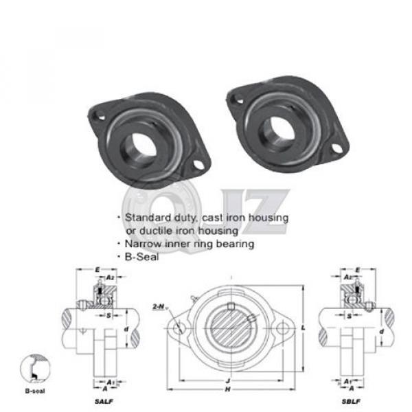 2x 1 in 2-Bolt Flange Units Cast Iron SALF205-16 Mounted Bearing SA205-16G+LF205 #4 image