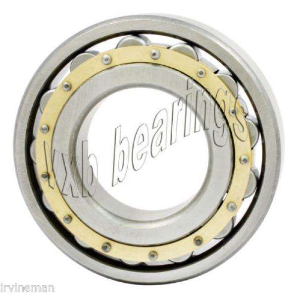 N304M Cylindrical Roller Bearing 20x52x15 Cylindrical Bearings 17515 #3 image