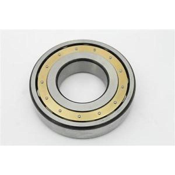 FAG 20313MB Spherical 65mm ID 140mm Brass Cage Barrel Roller Bearing #1 image