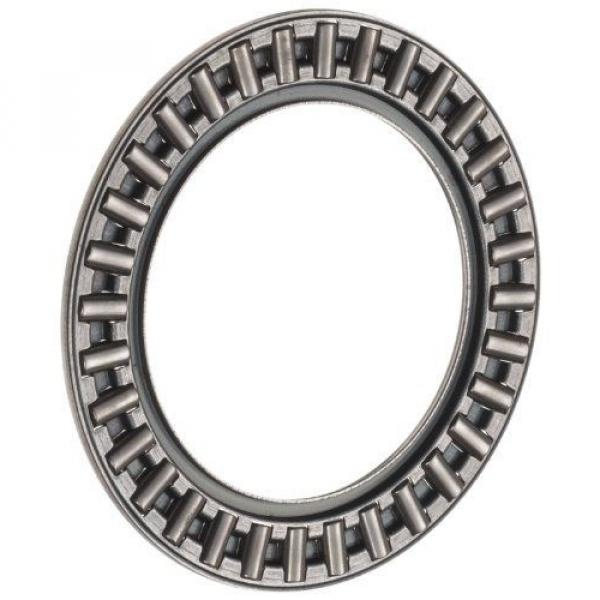 INA AXK4565 Thrust Needle Bearing, Axial Cage and Roller, Steel Cage, Open End, #1 image