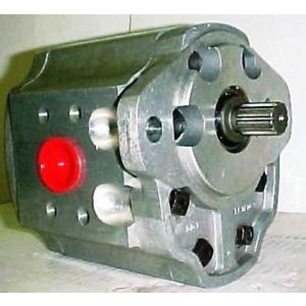 Dowty Hydraulic Gear # 3P3250C7716 / 3P3250C SSSB Pump #1 image