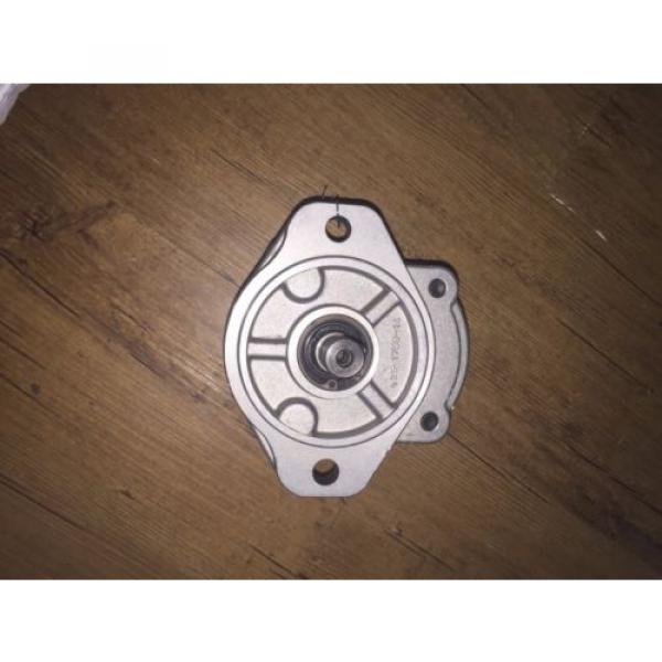 Bucher Hydraulic Gear AP200/6,5 D 880 Pump #1 image