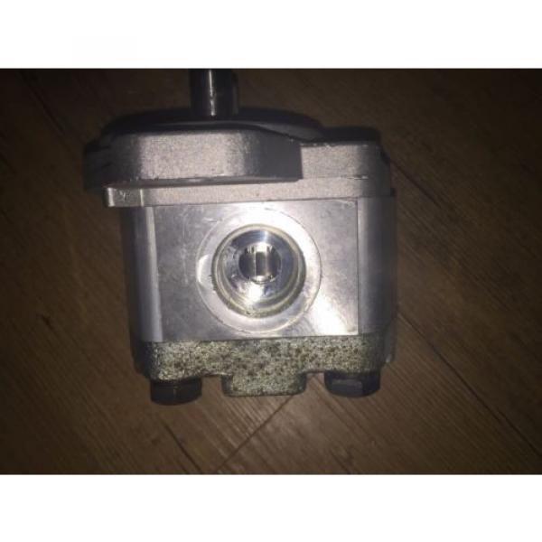 Bucher Hydraulic Gear AP200/6,5 D 880 Pump #3 image