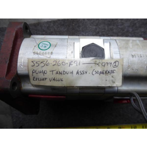 NEW DOWTY TANDEM GEAR 5556260R91  Pump #4 image