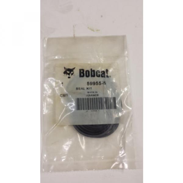 NEW SEAL KIT FOR A BOBCAT 599555  Pump #1 image