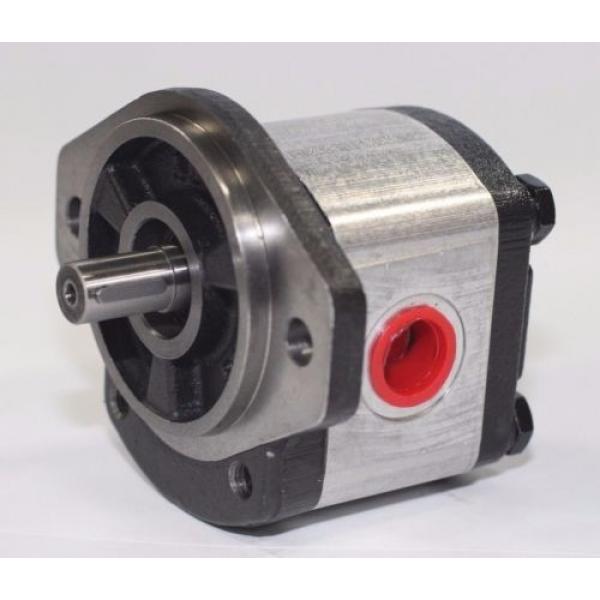 Hydraulic Gear 1PN070CG1P13D3CNXS Pump #1 image