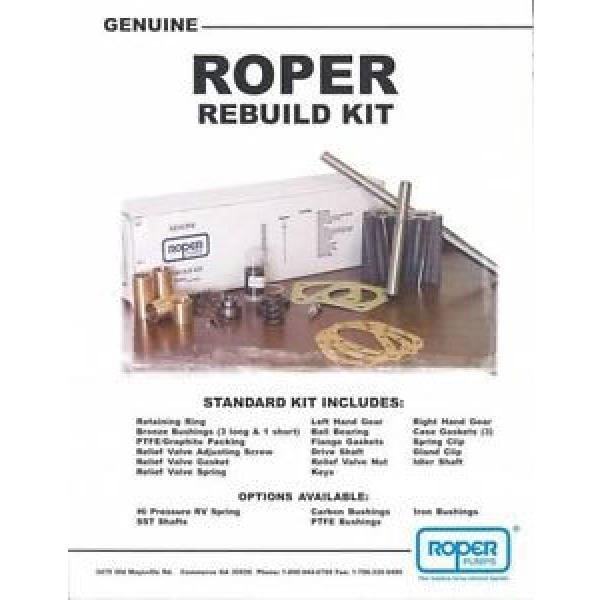 Roper Rebuild Kit  N44180 Pump #1 image