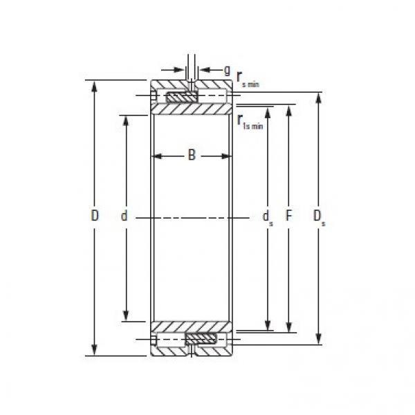 Timken NNU4088MAW33 #1 image